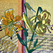 Sho Kidokoro Gallery